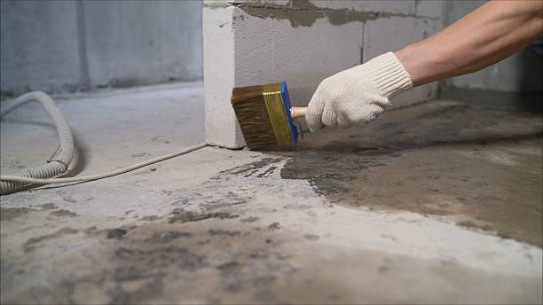SJ Waterproofing Pros Exterior Waterproofing coverage map for Prospect, TN and surrounding area